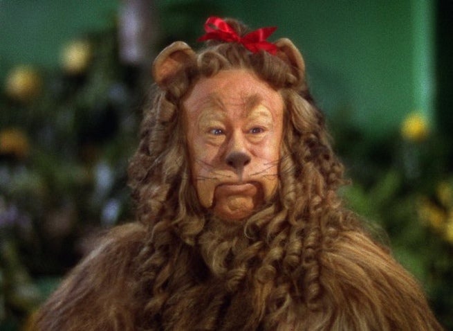 cowardly lion - Overcoming your fears and launching your dream business